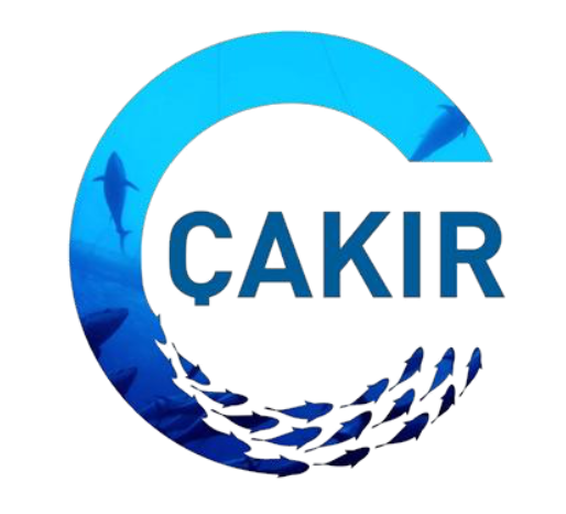 Çakır